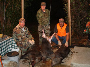 Perry County Hogs