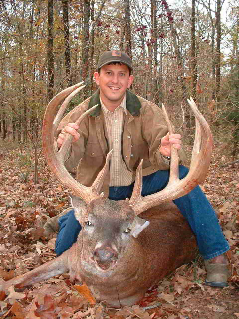 Madison County Deer