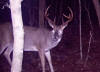 Pike County 8 point